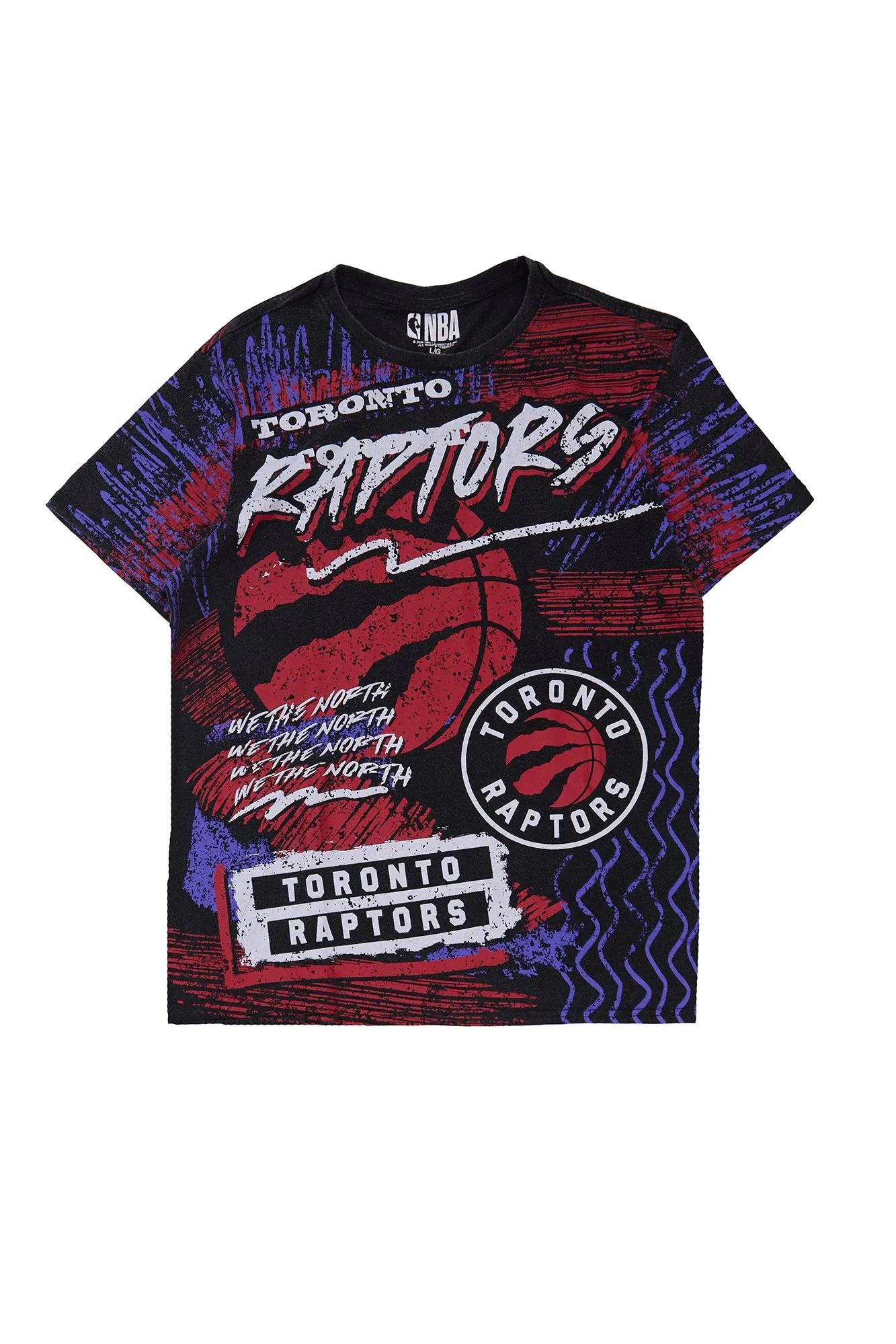 Toronto Raptors Graphic Tee sold by Bluenotes