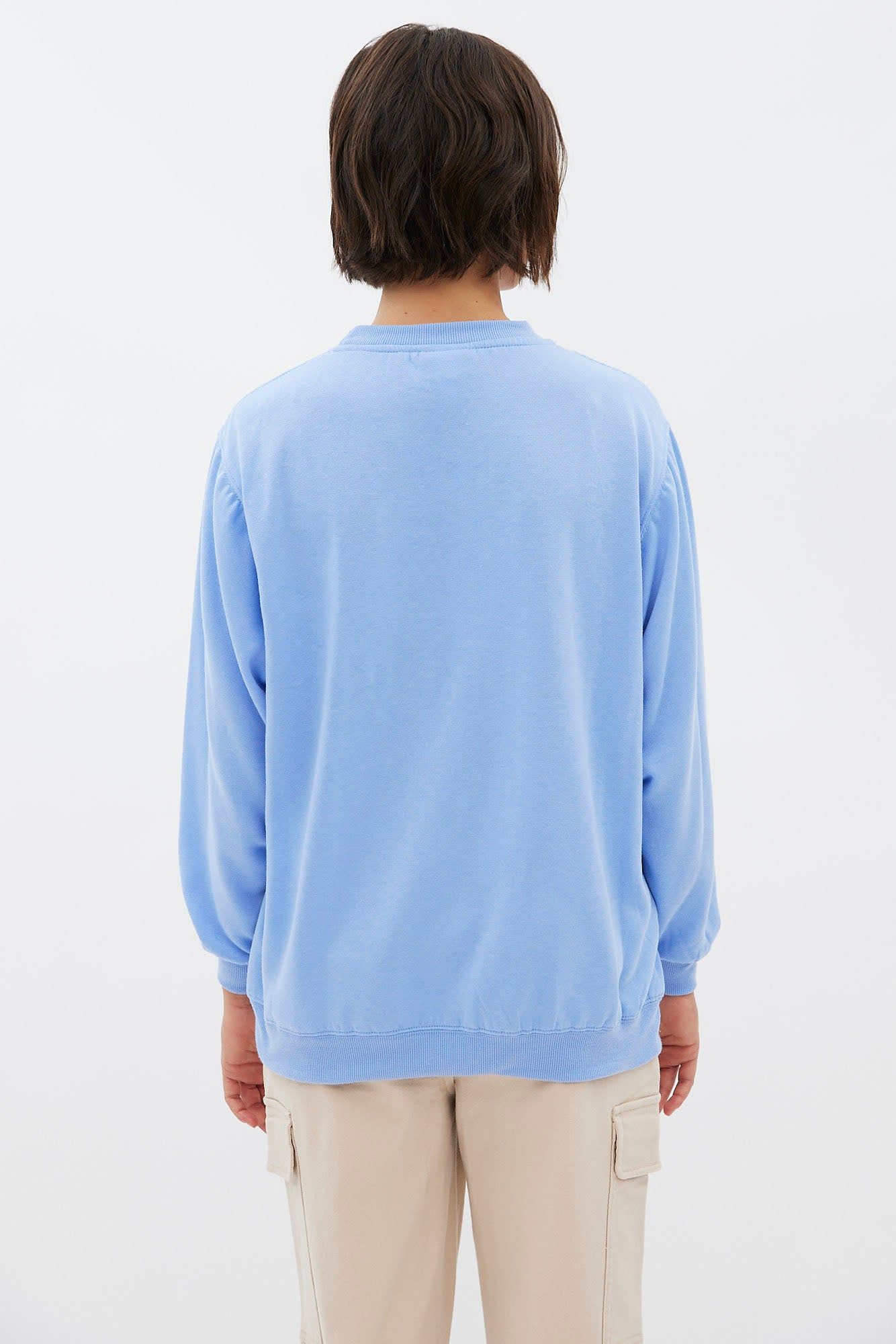 North Carolina Embroidered Oversized Crew Neck Sweatshirt sold by Bluenotes product image thumbnail 4