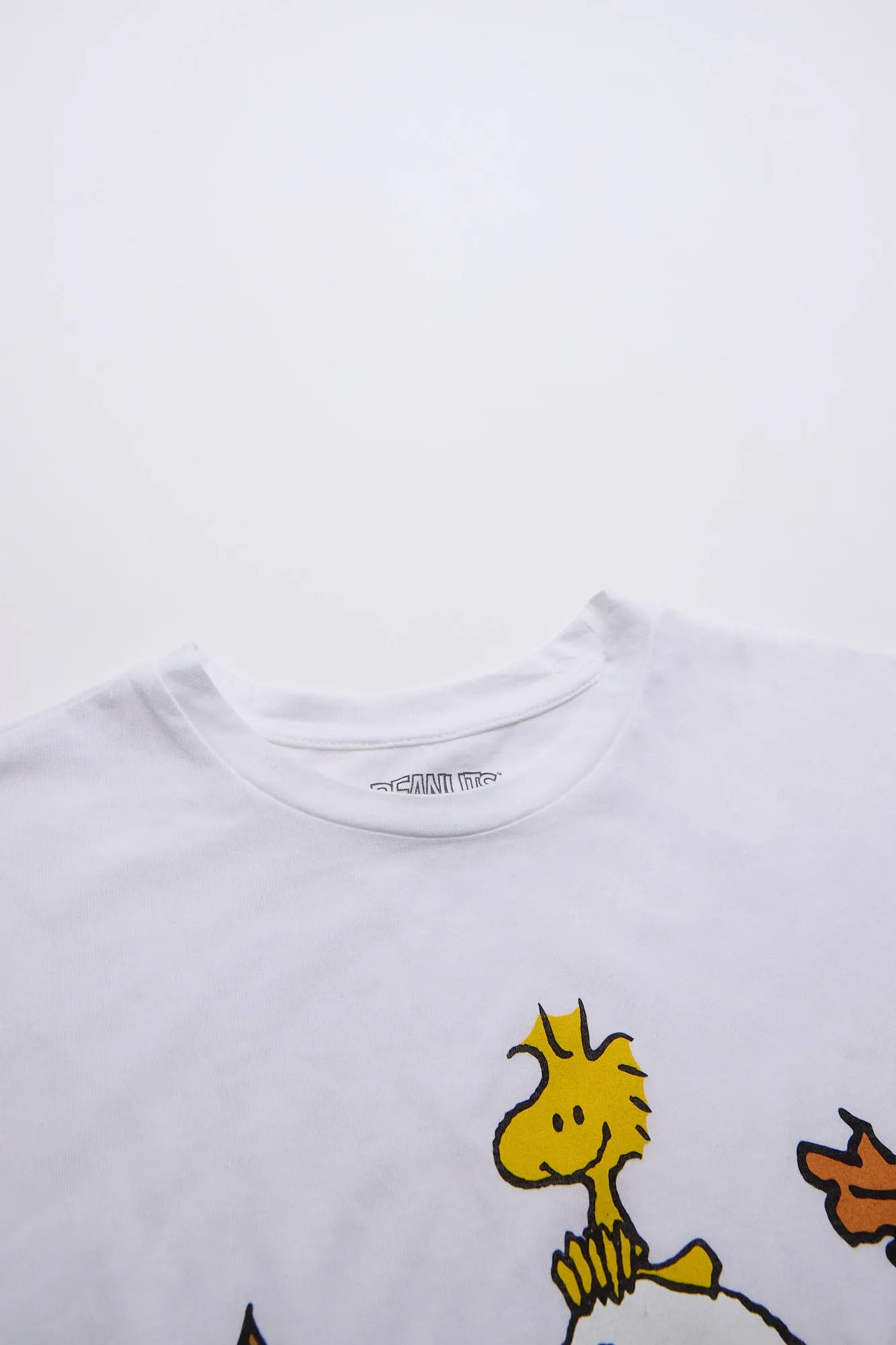 Peanuts Snoopy Halloween Pumpkin Graphic Relaxed Tee sold by Bluenotes product image thumbnail 2