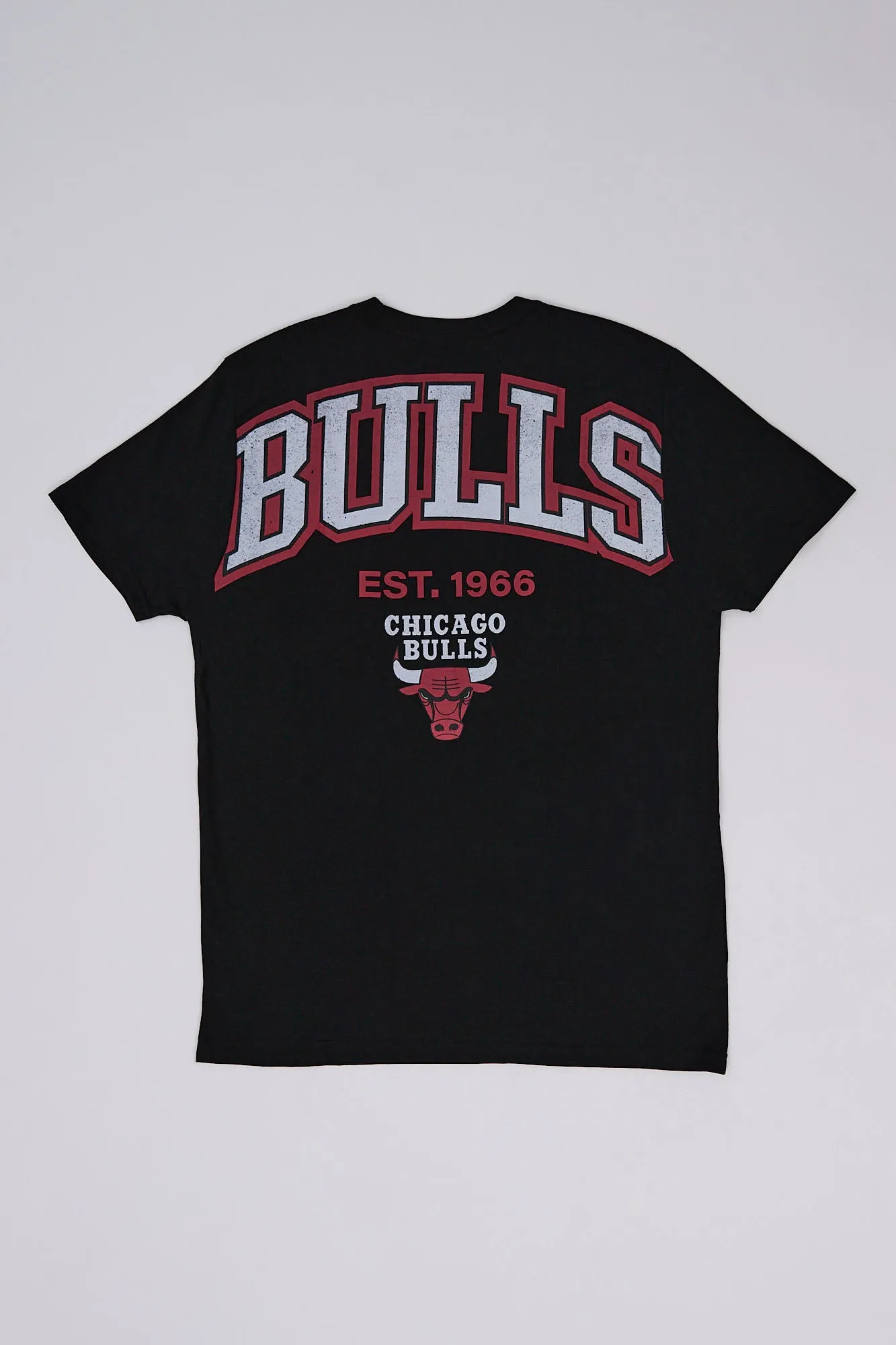 Chicago Bulls Graphic Tee sold by Bluenotes product image thumbnail 2
