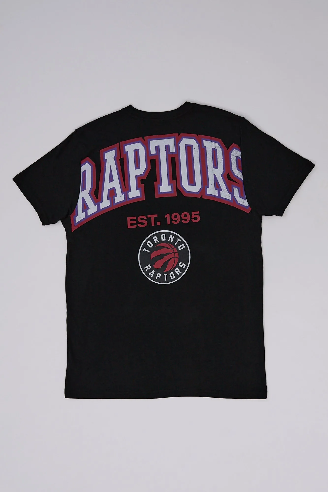Toronto Raptors Graphic Tee sold by Bluenotes product image thumbnail 2