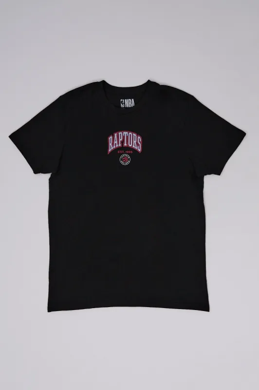 Toronto Raptors Graphic Tee made by Aeropostale
