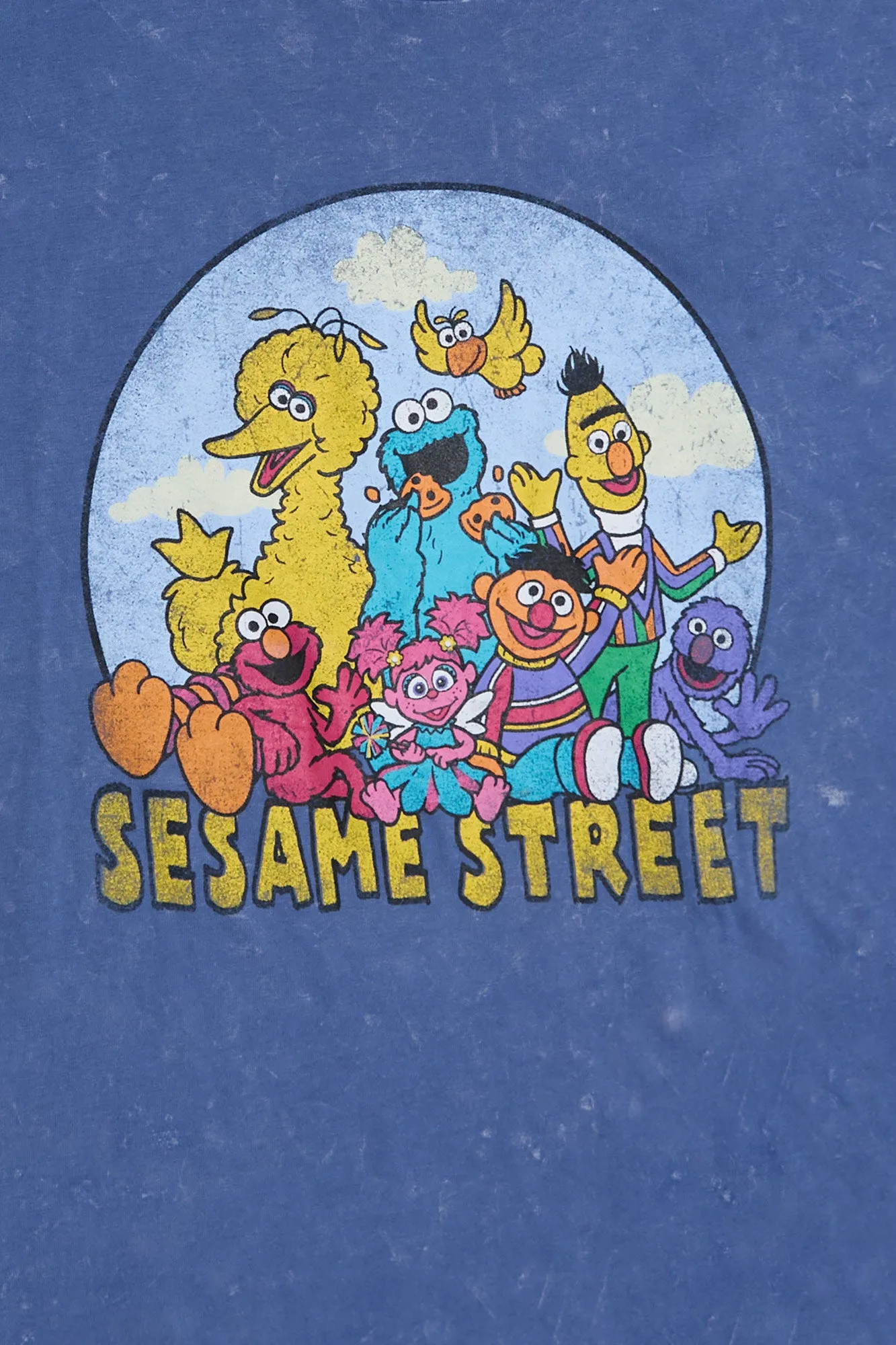 Sesame Street Graphic Acid Wash Tee sold by Bluenotes product image thumbnail 2
