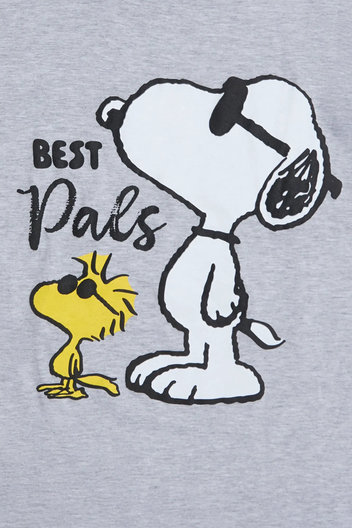 Peanuts Snoopy Woodstock Best Pals Graphic Relaxed Tee sold by Bluenotes product image thumbnail 2