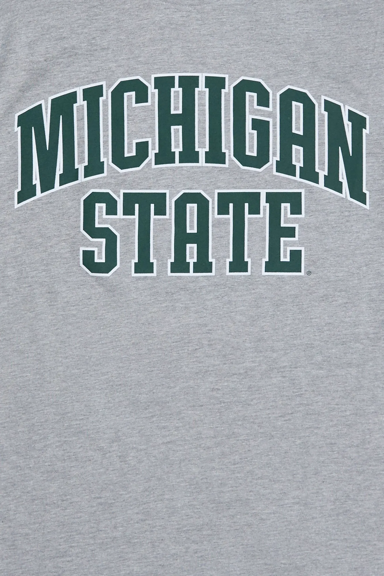 Michigan State Graphic Tee sold by Bluenotes product image thumbnail 2