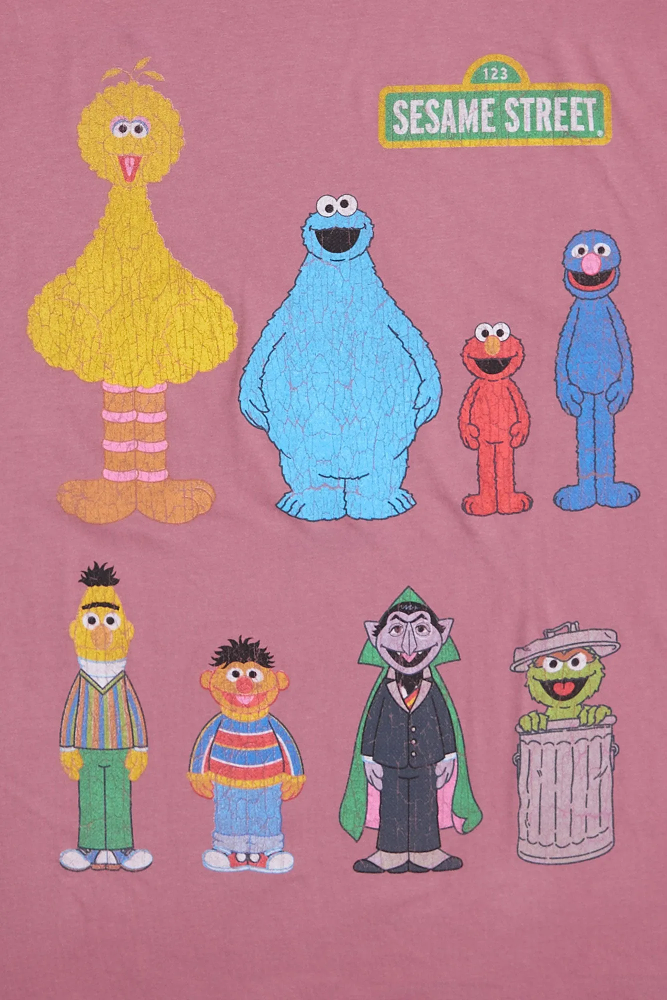 Sesame Street Graphic Tee sold by Bluenotes product image thumbnail 2