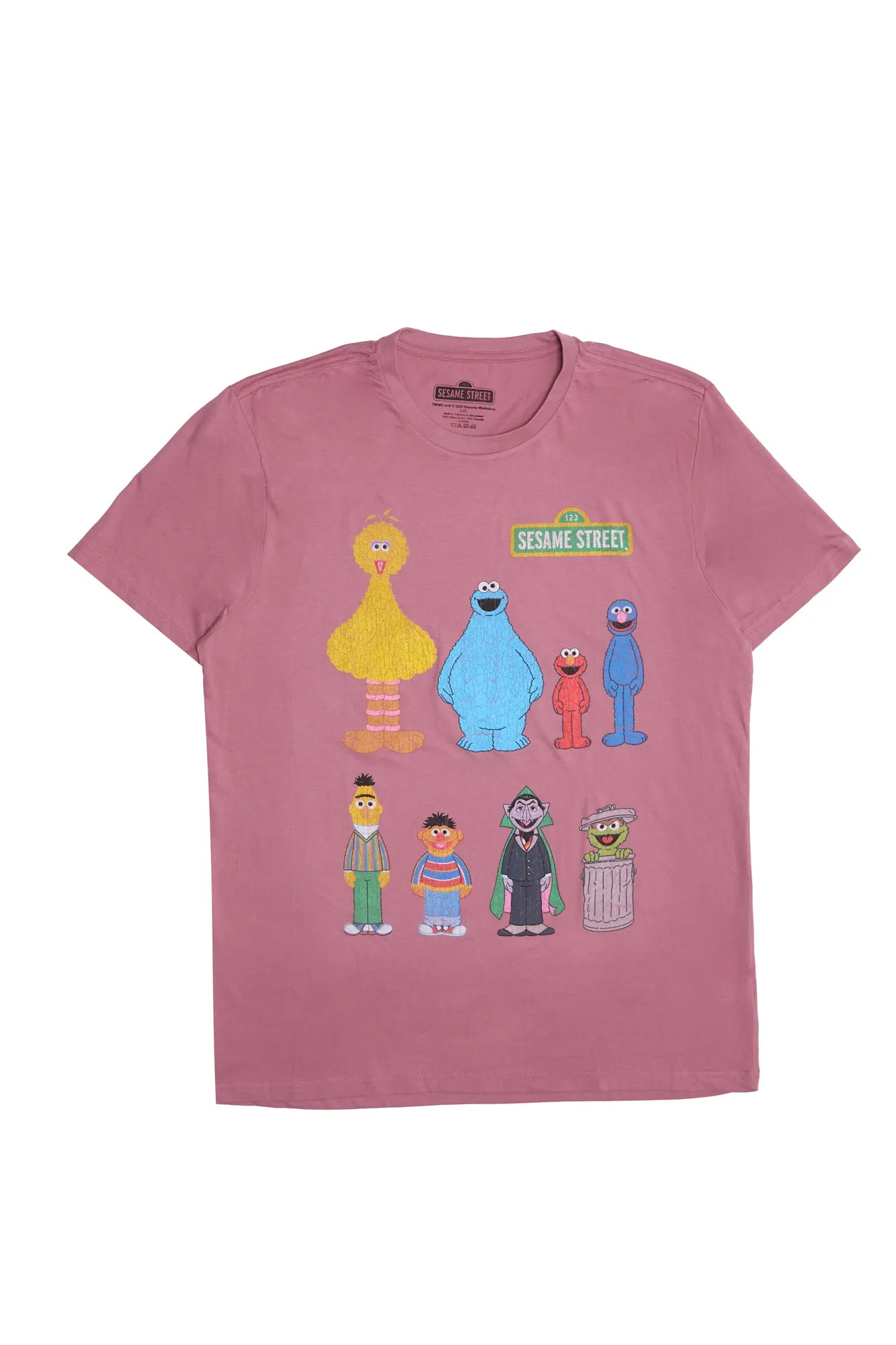 Sesame Street Graphic Tee sold by Bluenotes