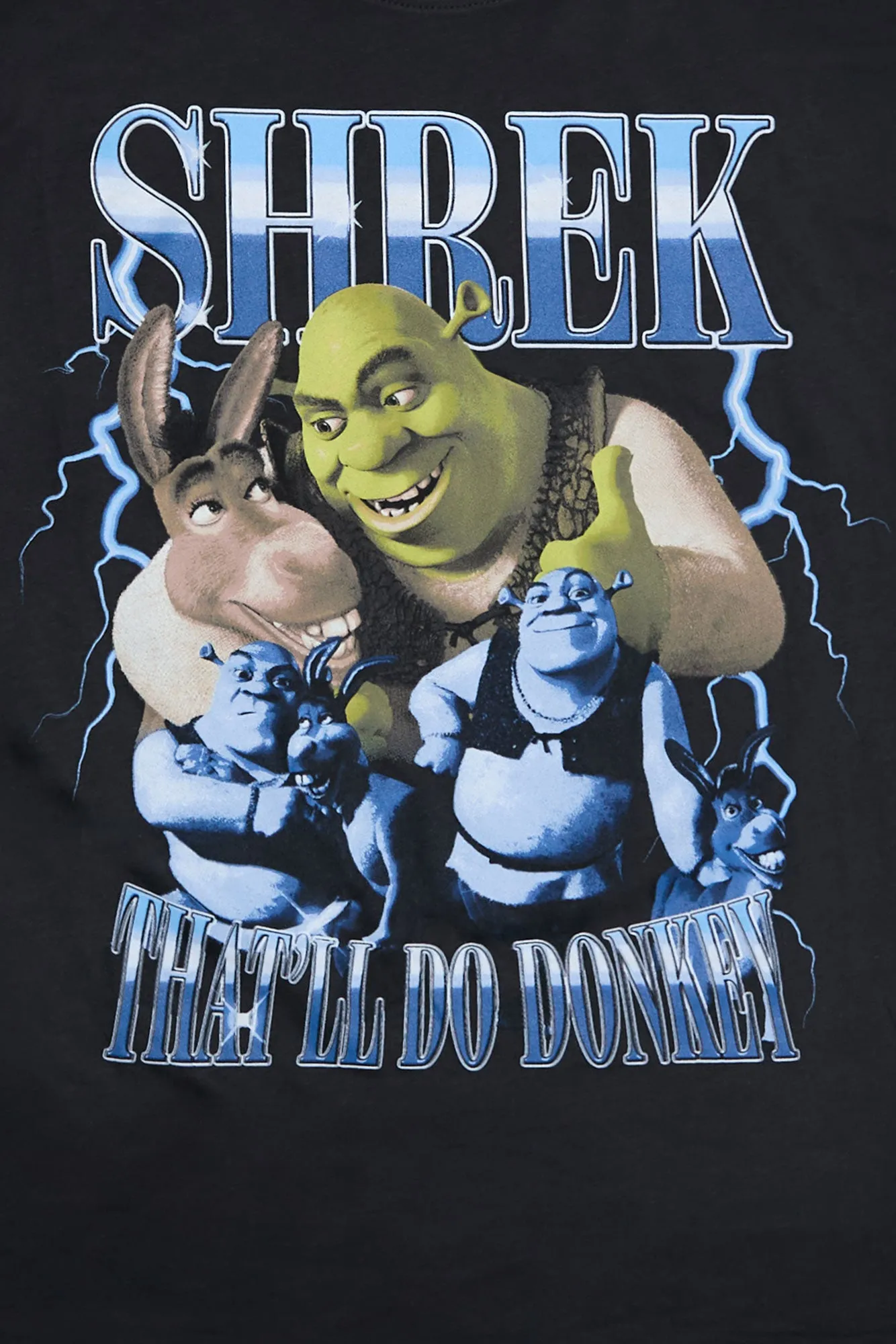 Shrek And Donkey Graphic Relaxed Tee sold by Bluenotes product image thumbnail 2