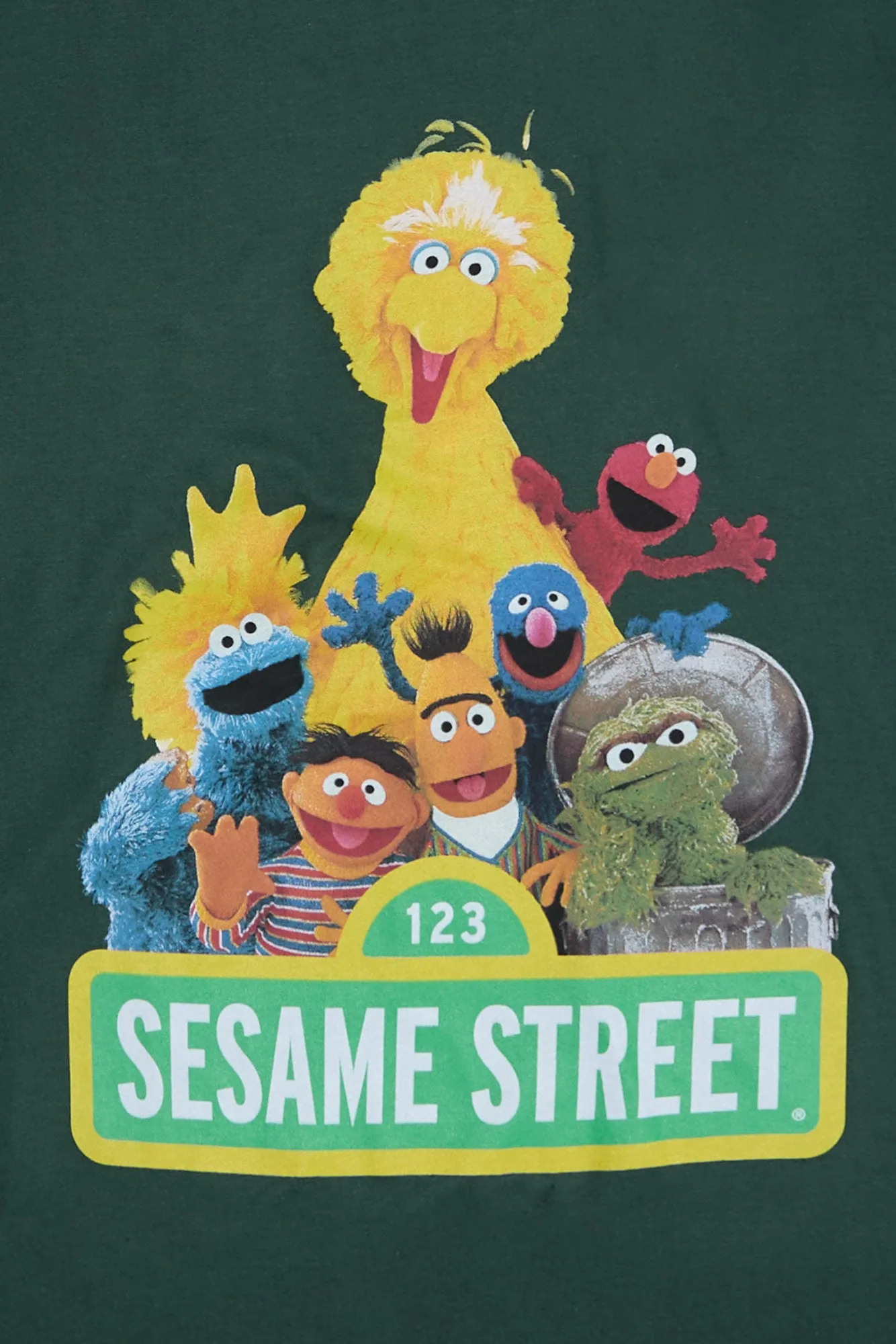 Sesame Street Graphic Tee sold by Bluenotes product image thumbnail 2