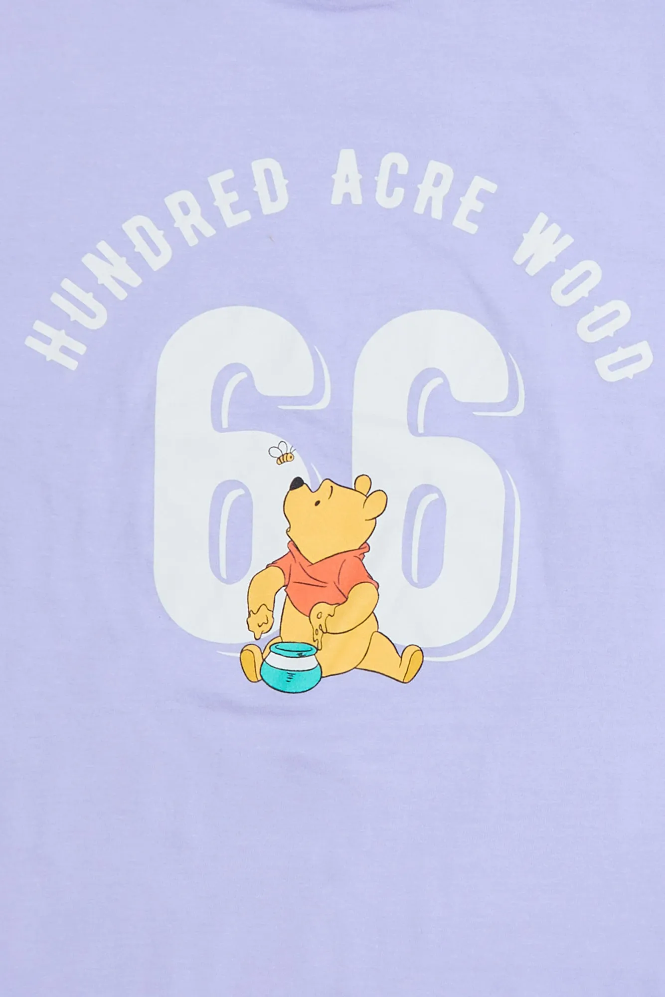 Winnie The Pooh Hundred Acre Wood Graphic Relaxed Tee sold by Bluenotes product image thumbnail 2