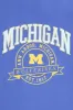Michigan M Graphic Puff Print Relaxed Tee sold by Bluenotes