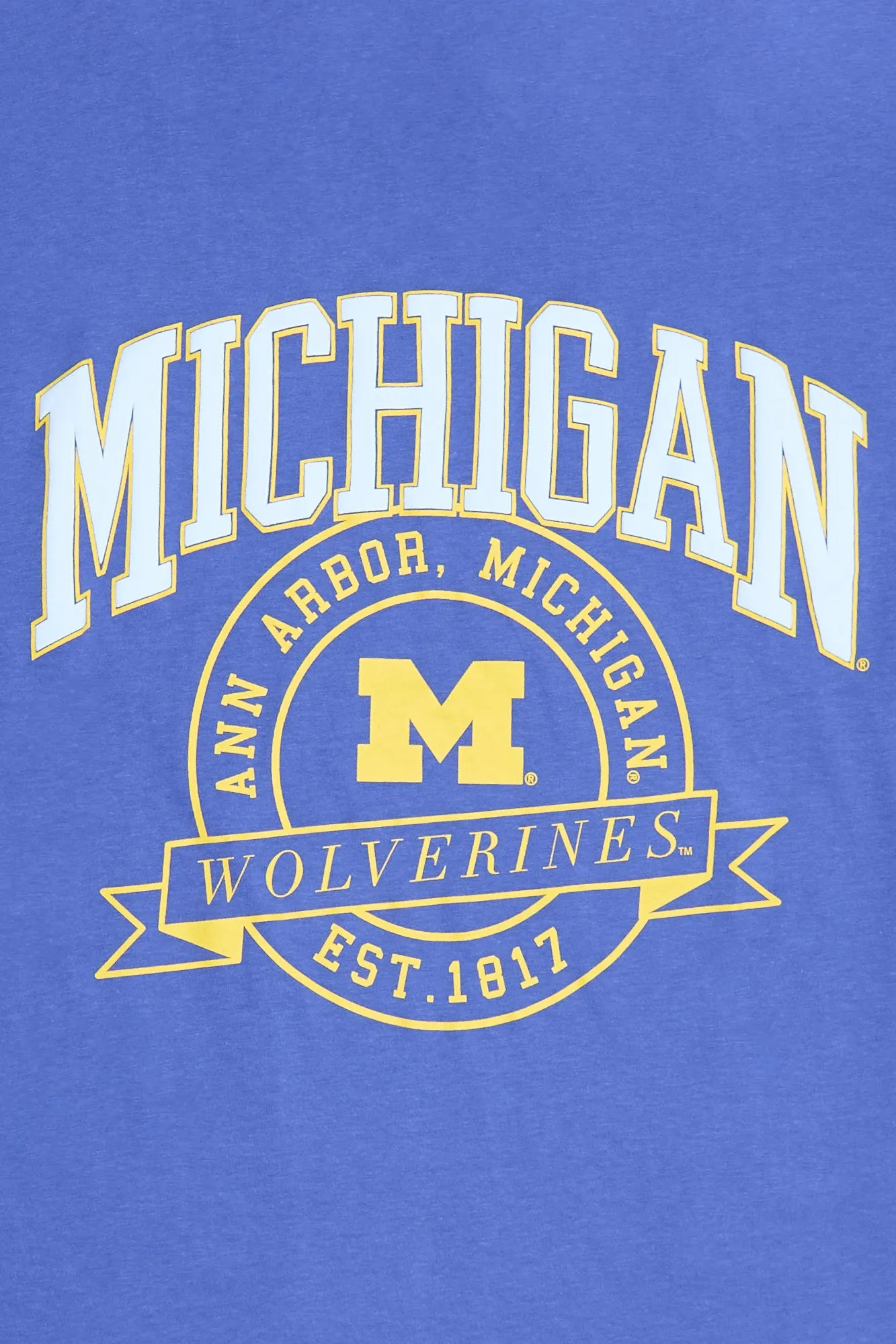 Michigan M Graphic Puff Print Relaxed Tee sold by Bluenotes product image thumbnail 2