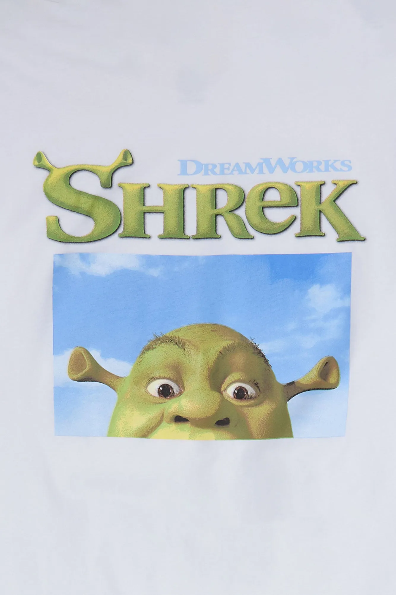 Shrek Graphic Boyfriend Tee sold by Bluenotes product image thumbnail 2