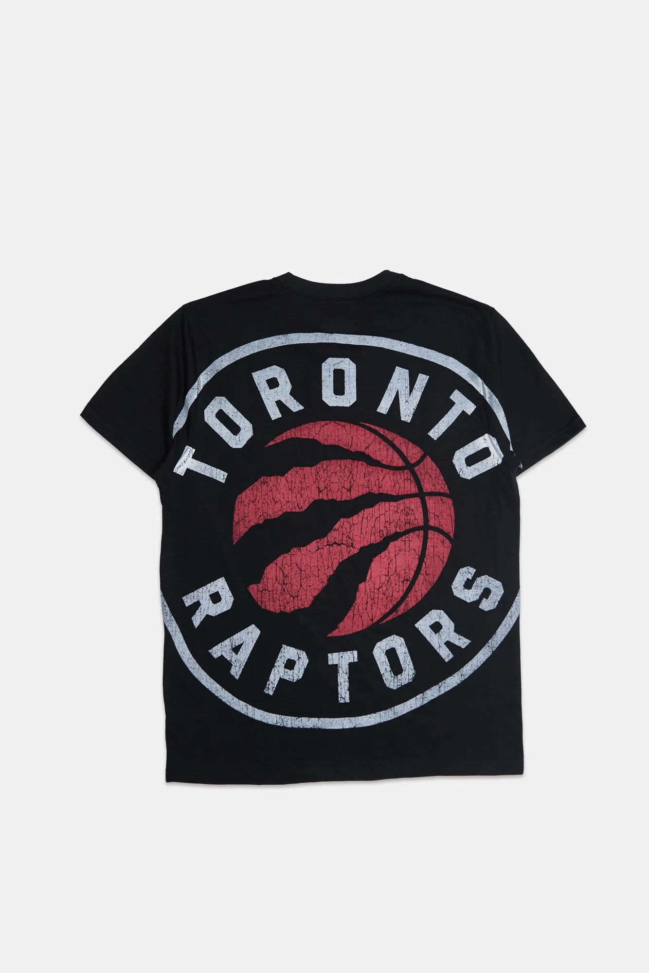 Toronto Raptors 1995 Graphic Panel Print Tee sold by Bluenotes product image thumbnail 2