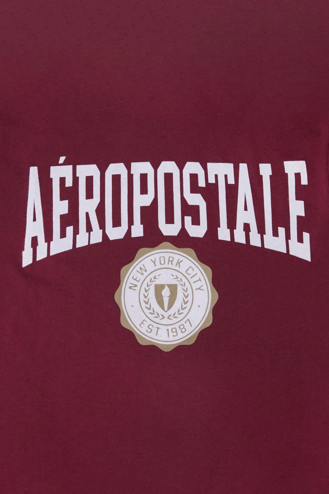 Aéropostale Graphic Flocked Tee sold by Bluenotes product image thumbnail 4