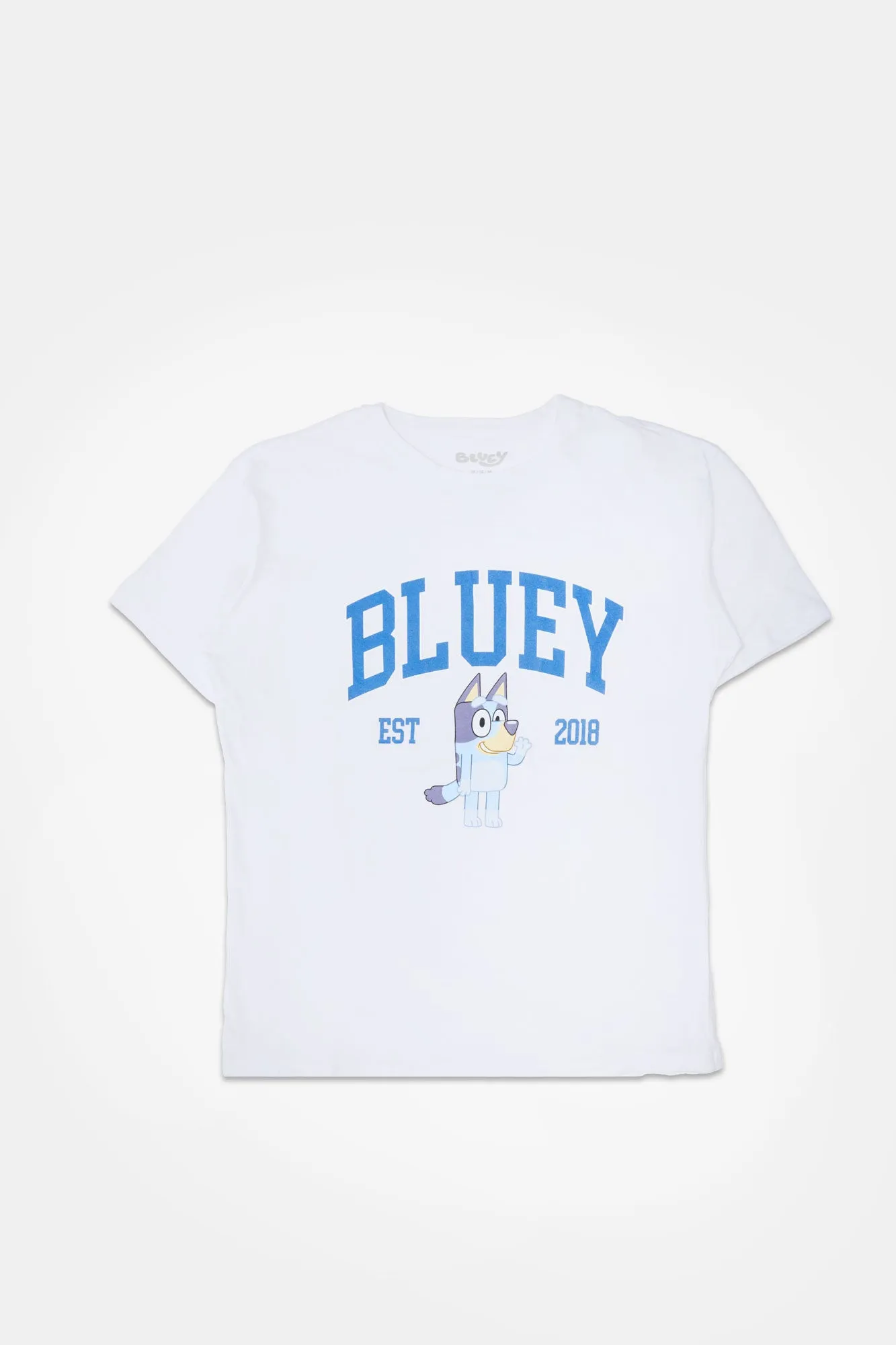 Bluey Graphic Boyfriend Tee sold by Bluenotes