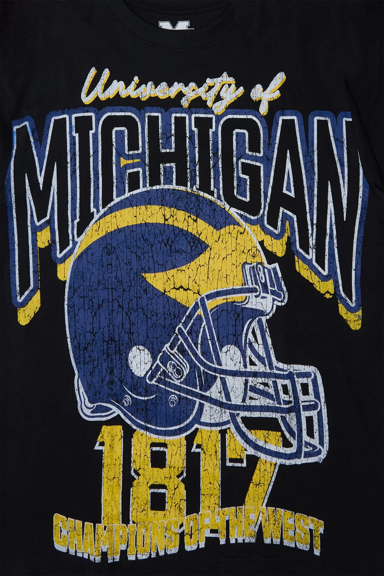 University of Michigan Graphic Tee sold by Bluenotes product image thumbnail 3