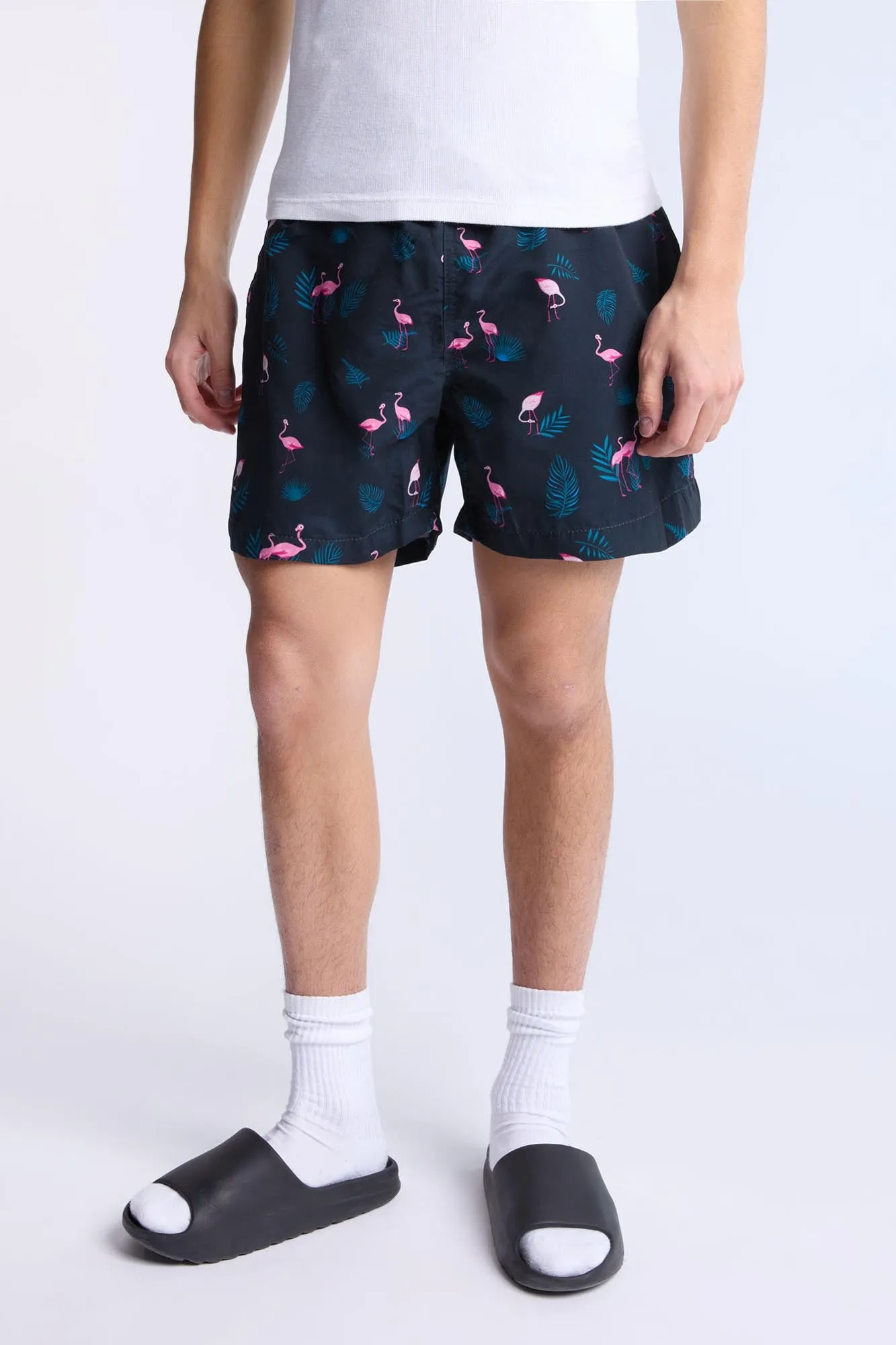 Flamingo Printed 5.5" Swim Shorts sold by Bluenotes