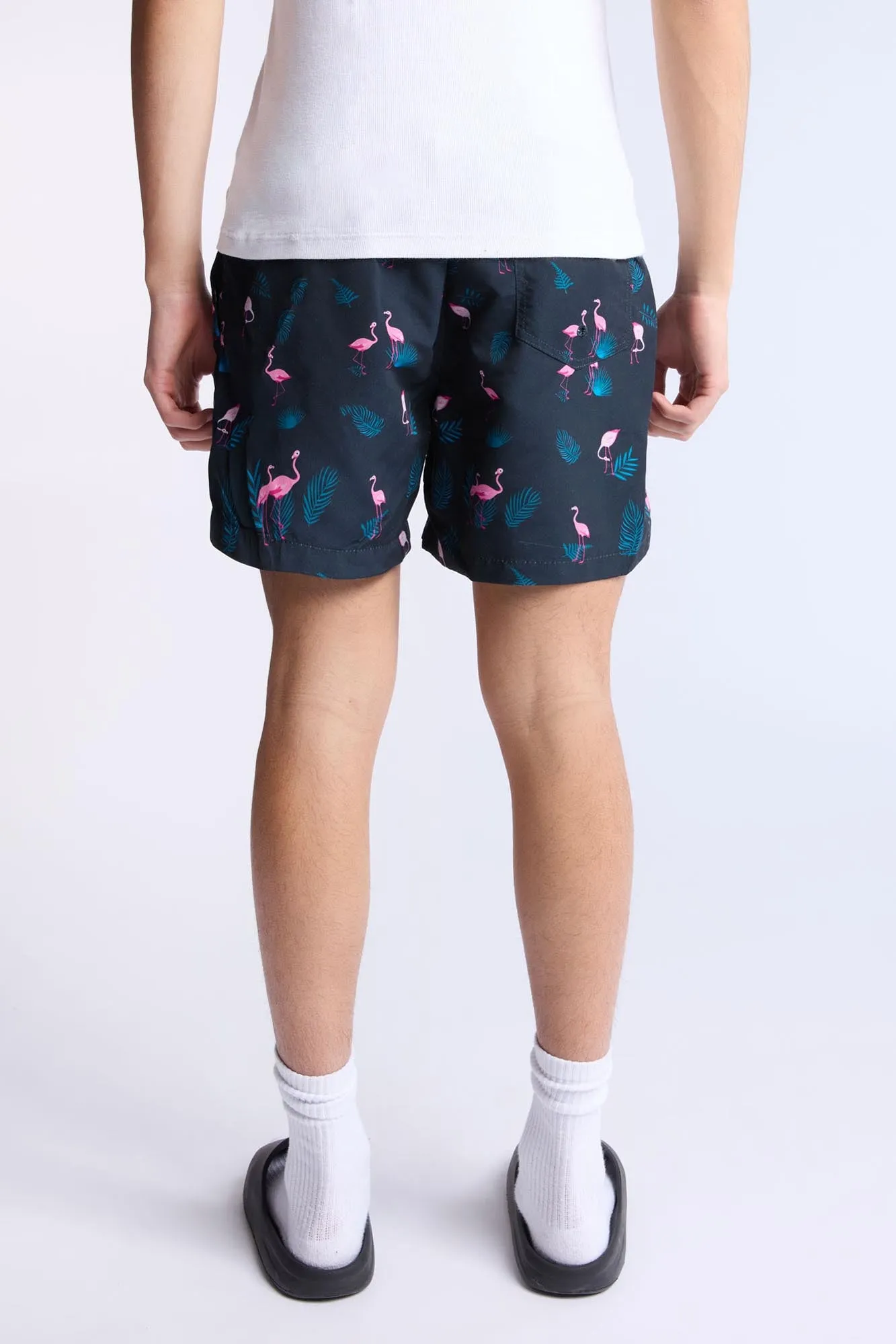 Flamingo Printed 5.5" Swim Shorts sold by Bluenotes product image thumbnail 3