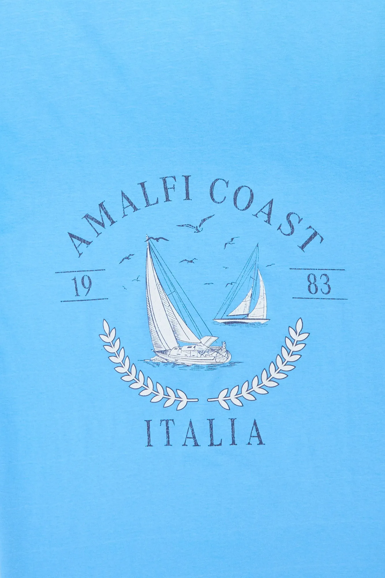 Amalfi Coast Graphic Boyfriend Tee sold by Bluenotes product image thumbnail 2