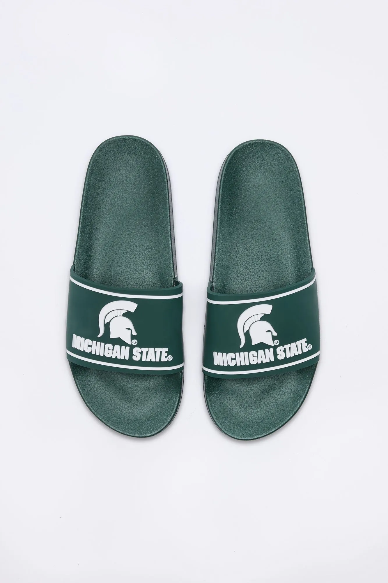 Michigan State Slides sold by Bluenotes