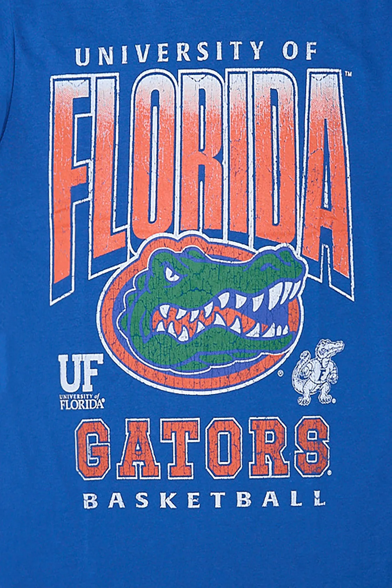 Florida Gators Graphic Tee sold by Bluenotes product image thumbnail 2