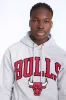Chicago Bulls Graphic Hoodie sold by Bluenotes