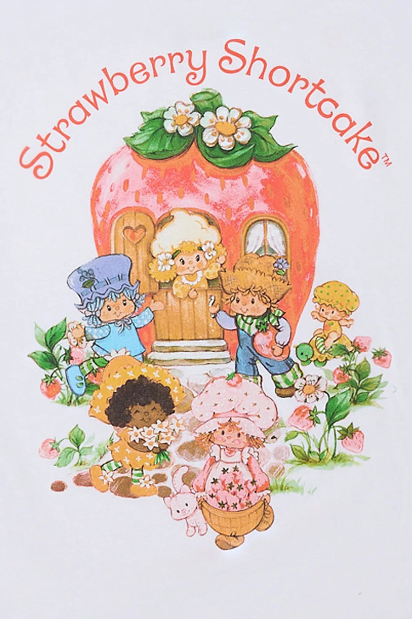 Strawberry Shortcake And Friends Graphic Boyfriend Tee sold by Bluenotes product image thumbnail 2