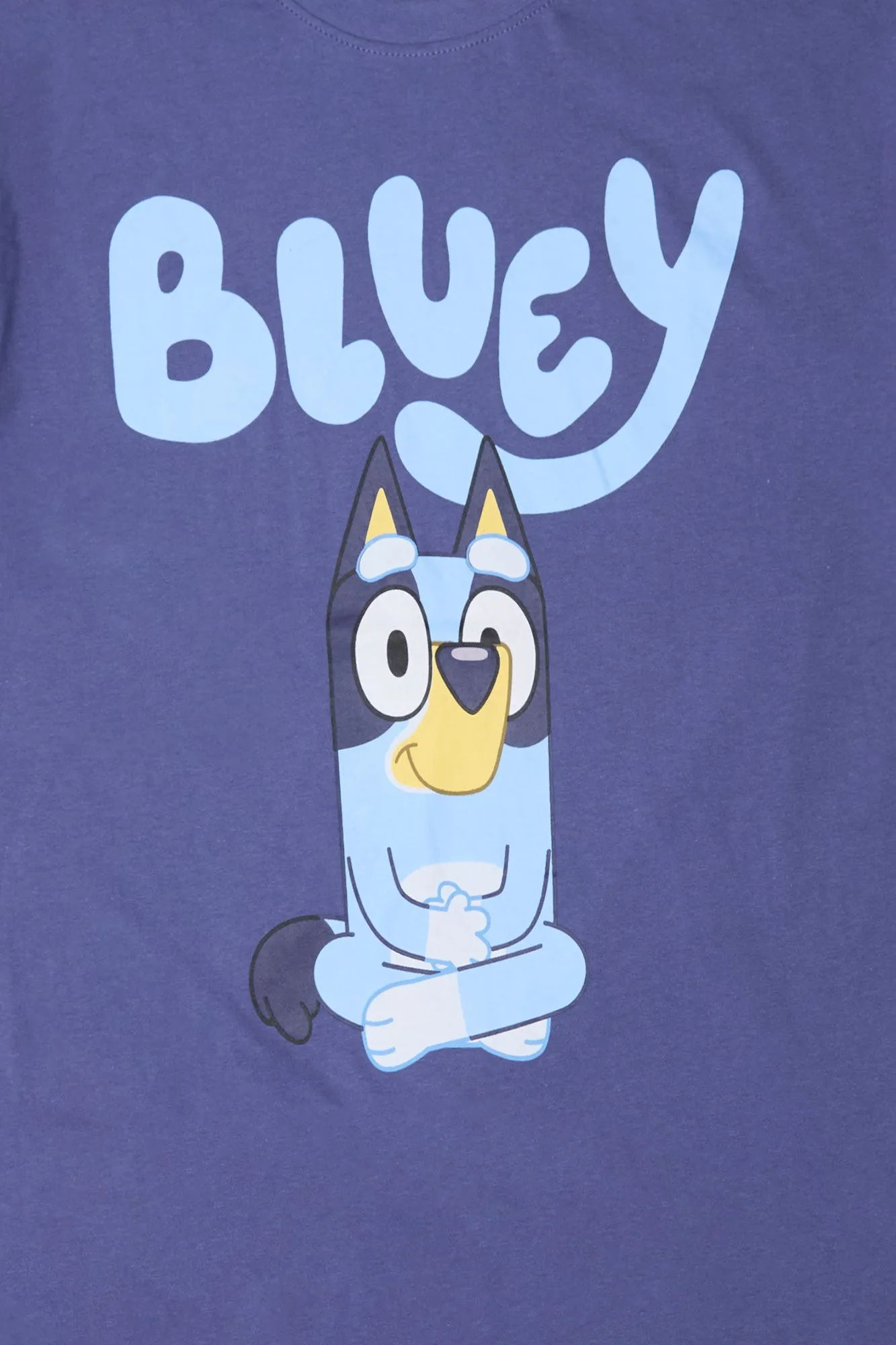 Bluey Graphic Boyfriend Tee sold by Bluenotes product image thumbnail 2