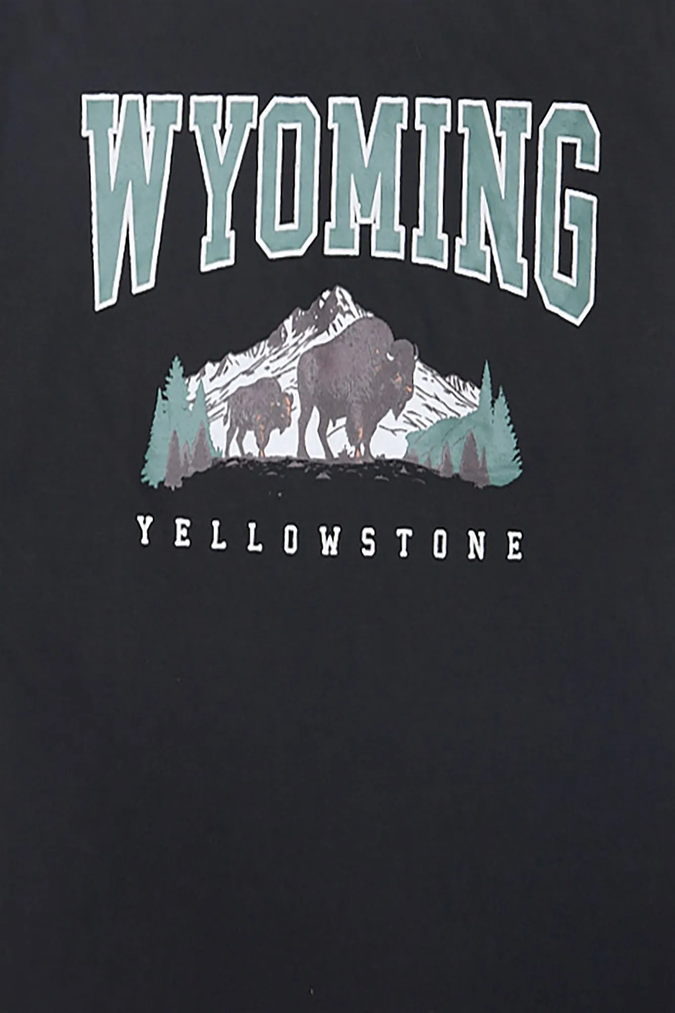 Wyoming Graphic Boyfriend Tee sold by Bluenotes product image thumbnail 2