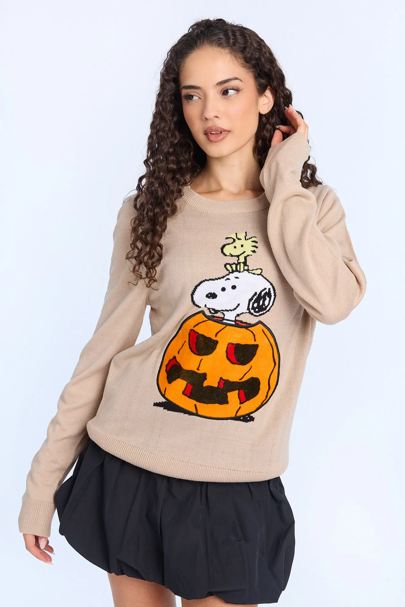 Peanuts Snoopy And Woodstock Halloween Pumpkin Crew Neck Sweatshirt sold by Bluenotes