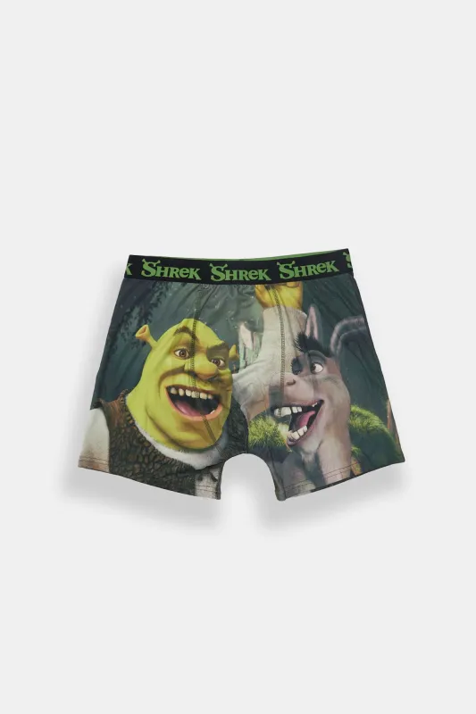 Shrek & Donkey Printed Boxer Briefs sold by Bluenotes