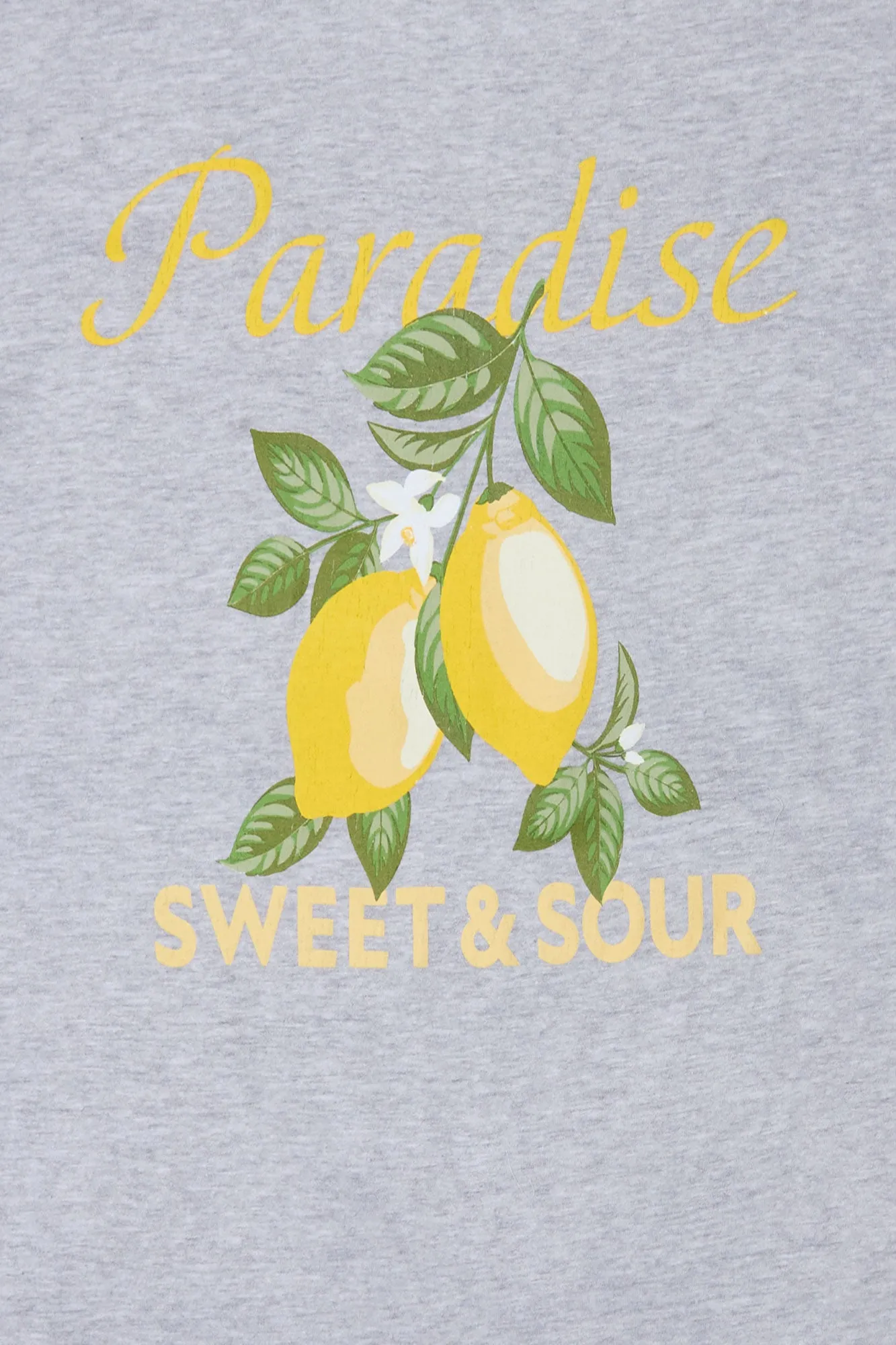 Lemons Paradise Sweet & Sour Graphic Boyfriend Tee sold by Bluenotes product image thumbnail 2