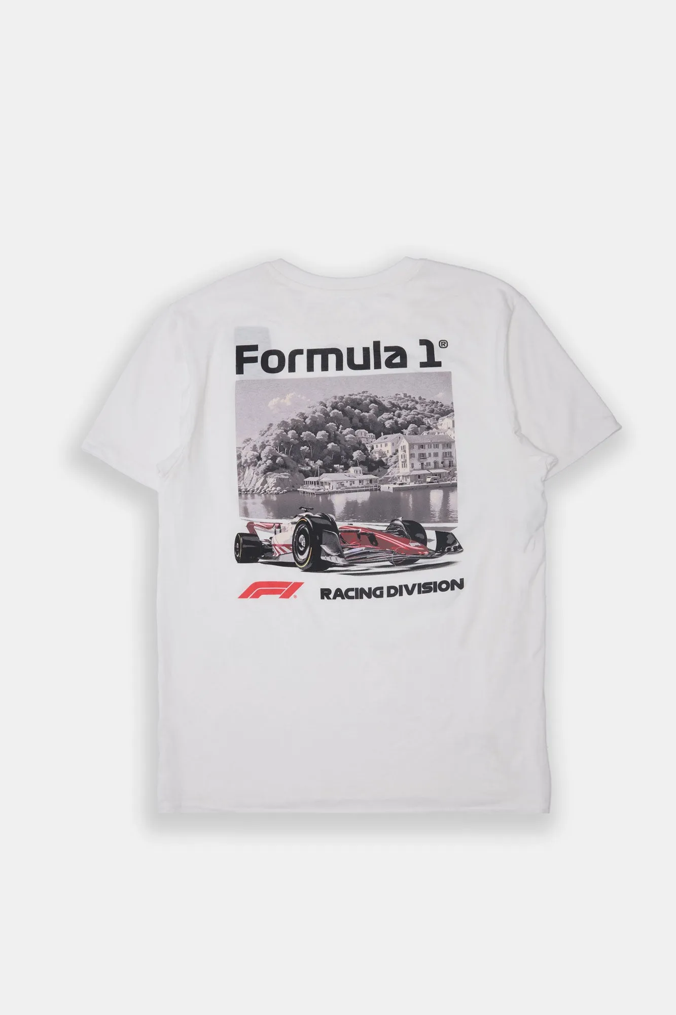Formula 1 Racing Division Graphic Tee sold by Bluenotes