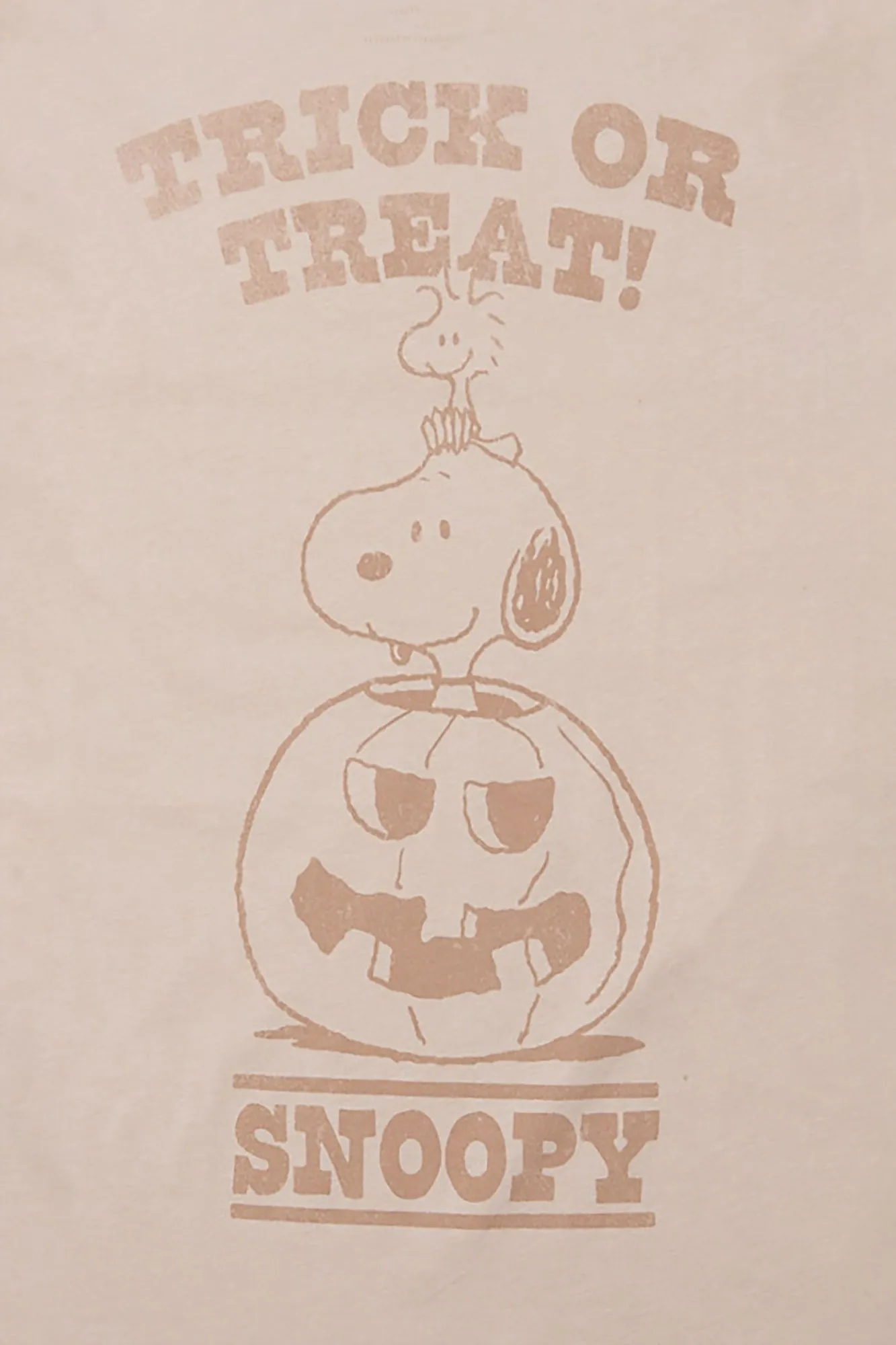 Peanuts Snoopy Trick Or Treat Graphic Boyfriend Tee sold by Bluenotes product image thumbnail 2