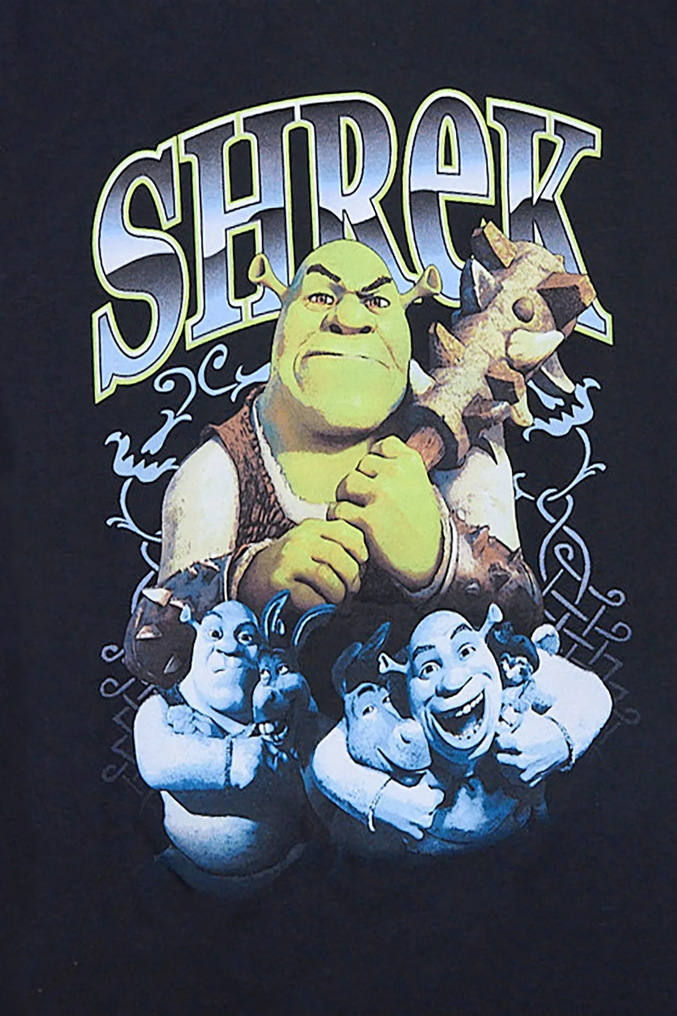 Boys' Shrek & Donkey Graphic Tee sold by Bluenotes product image thumbnail 2