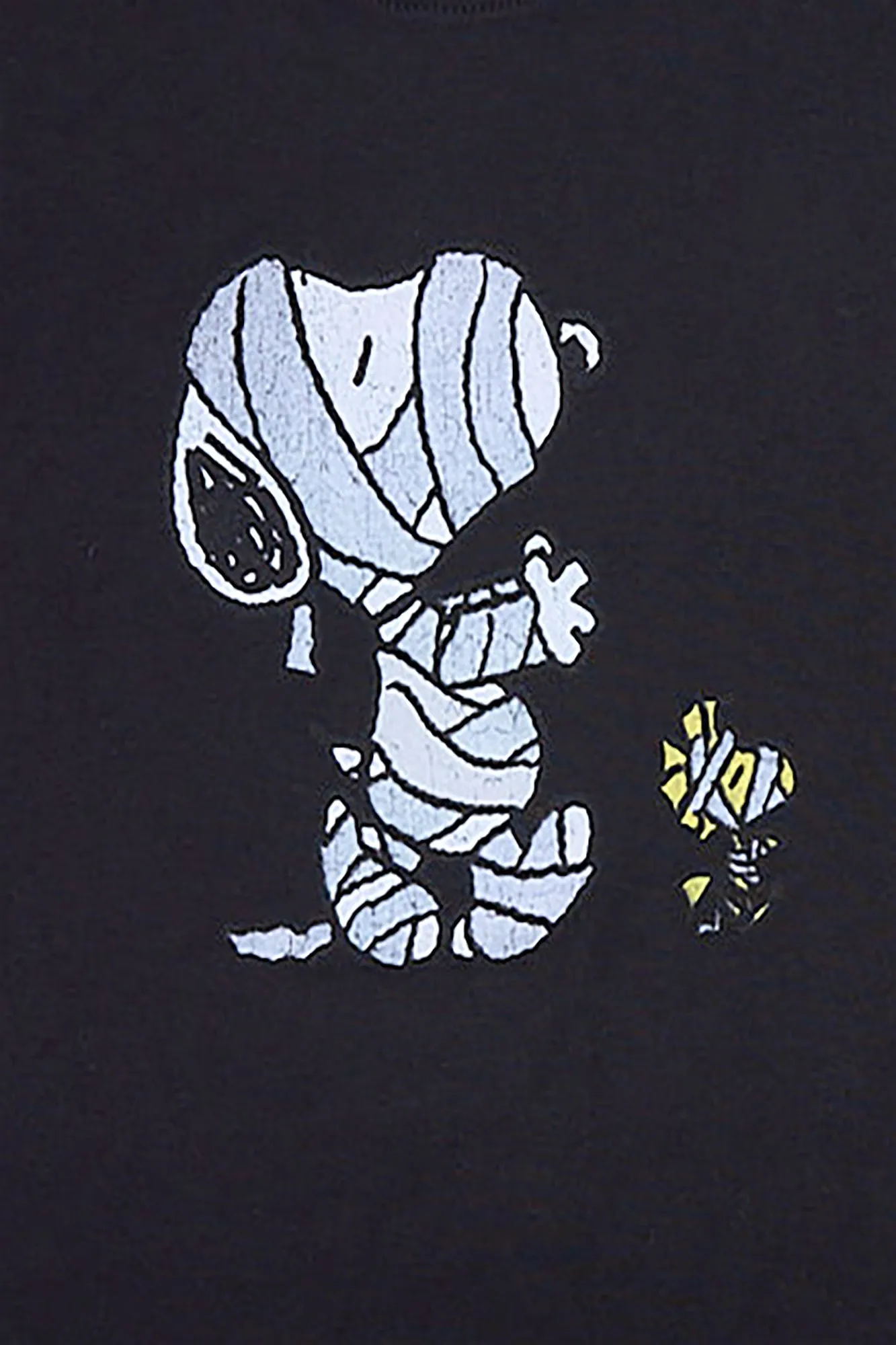 Boys' Peanuts Snoopy & Woodstock Mummy Graphic Tee sold by Bluenotes product image thumbnail 2