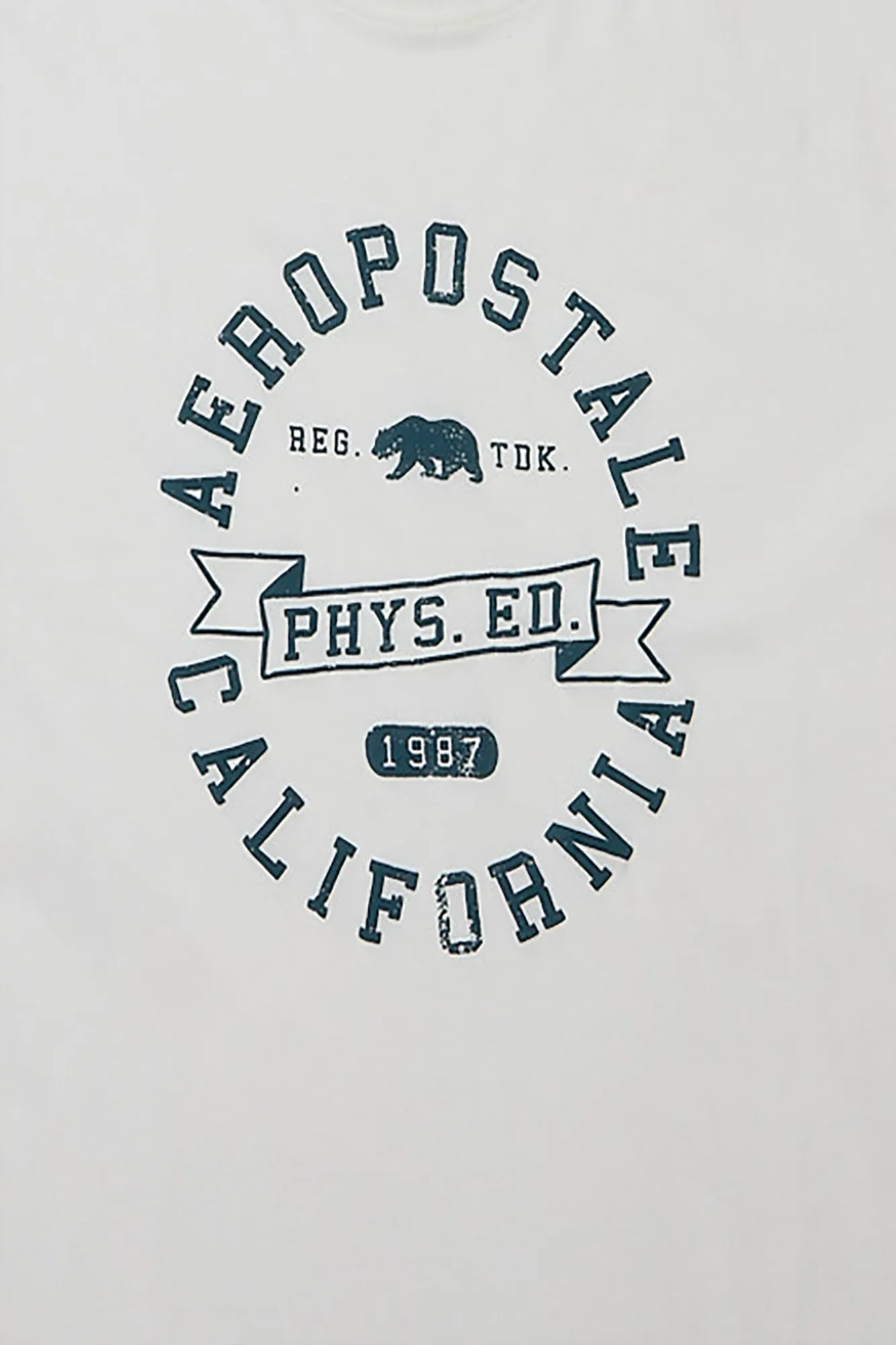 AERO Physical Education Bear Puff Print Graphic Tee sold by Bluenotes product image thumbnail 4