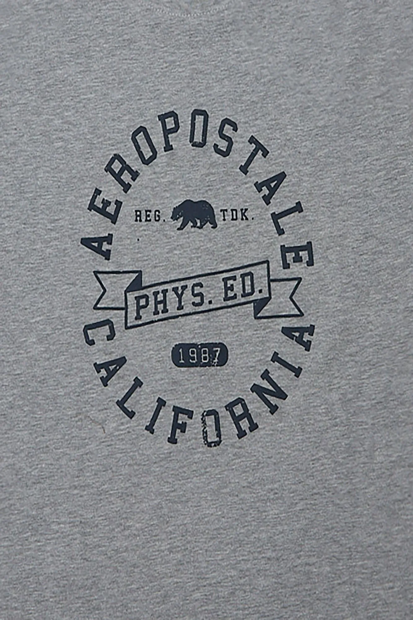 AERO Physical Education Bear Puff Print Graphic Tee sold by Bluenotes product image thumbnail 2