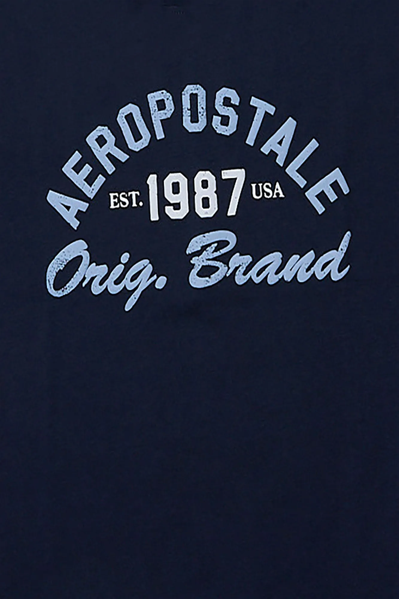 AERO Original Brand Puff Print Graphic Tee sold by Bluenotes product image thumbnail 4