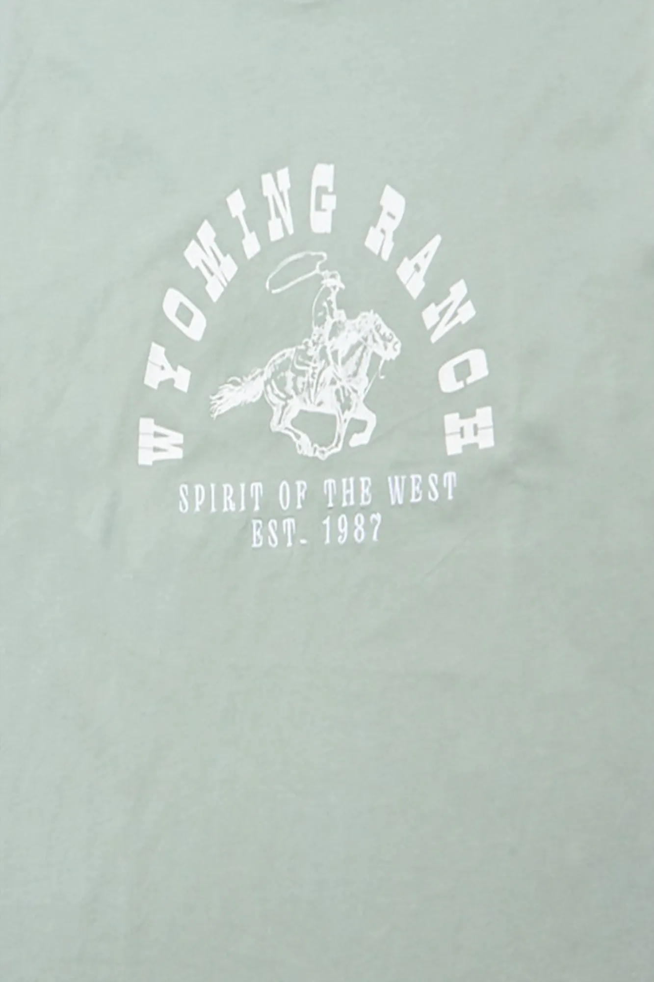 Wyoming Graphic Boyfriend Tee sold by Bluenotes product image thumbnail 2