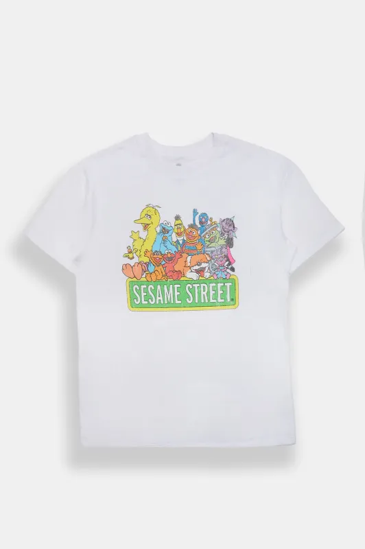 Sesame Street Friends Graphic Boyfriend Tee made by Aeropostale