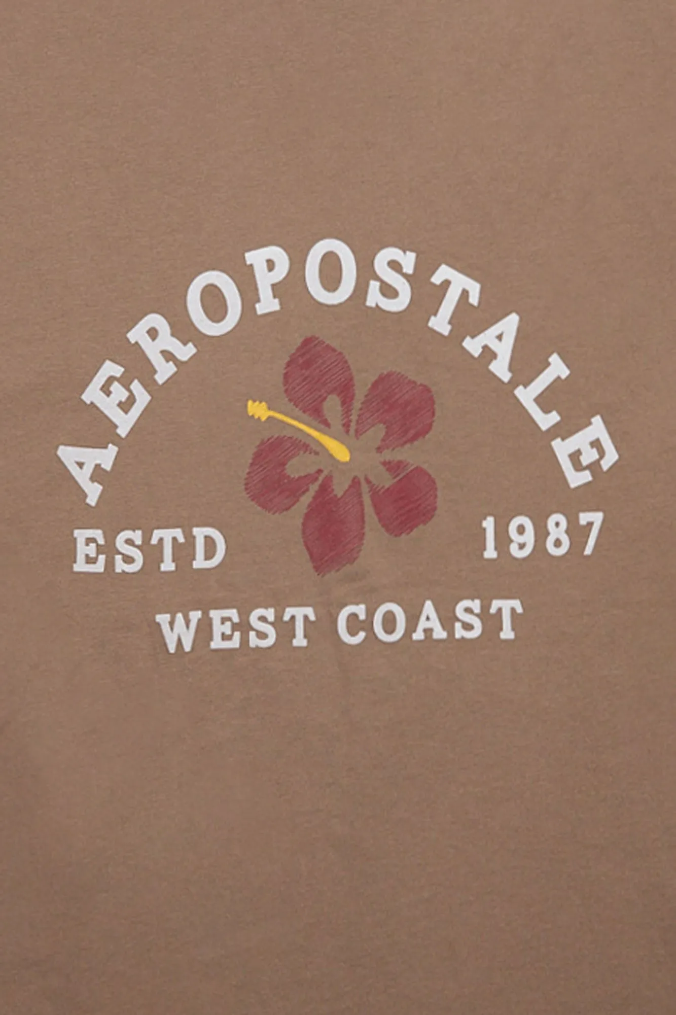 Aéropostale Hibiscus West Coast 1987 Graphic Tee sold by Bluenotes product image thumbnail 4