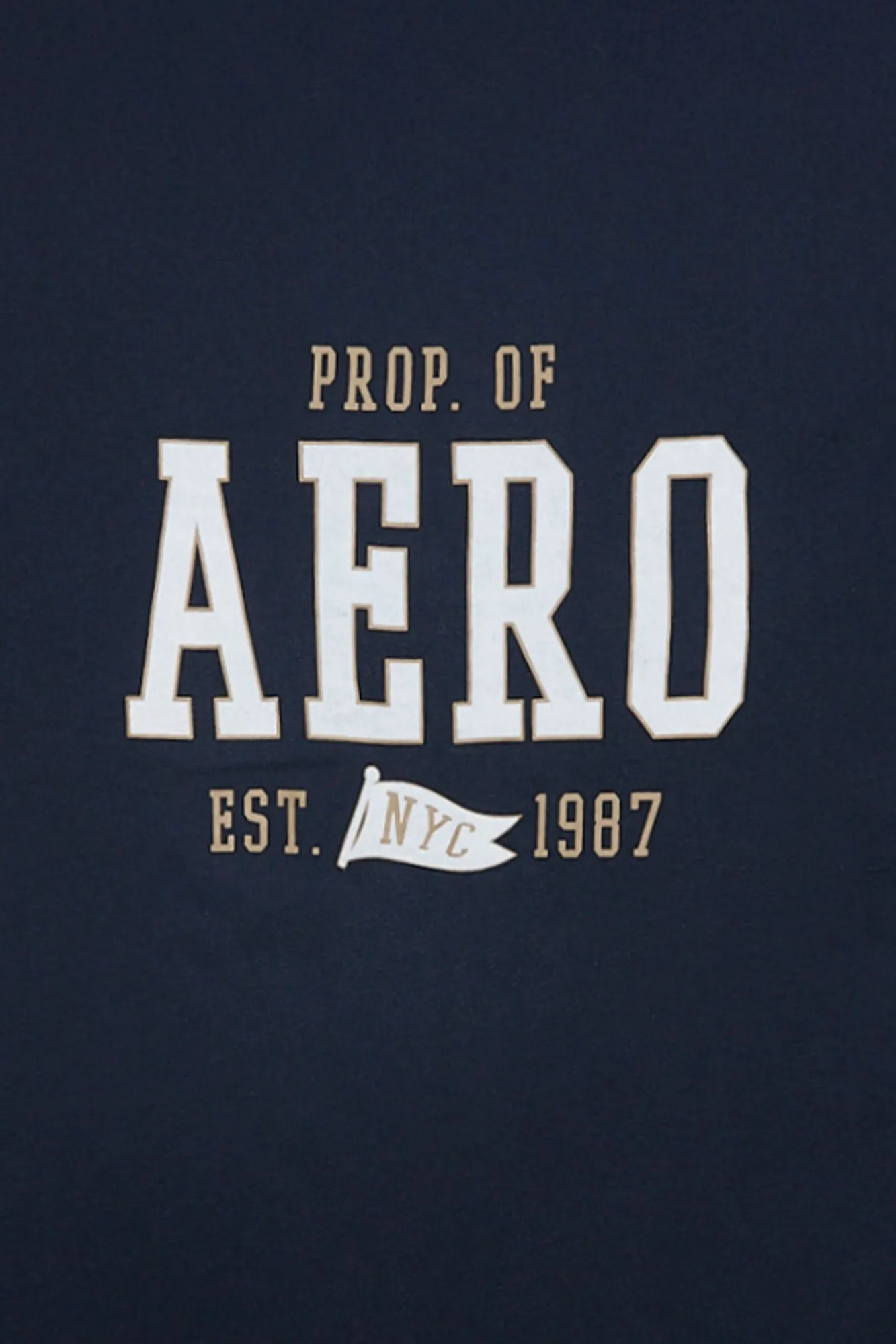 Prop. Of AERO Est. 1987 NYC Graphic Tee sold by Bluenotes product image thumbnail 4