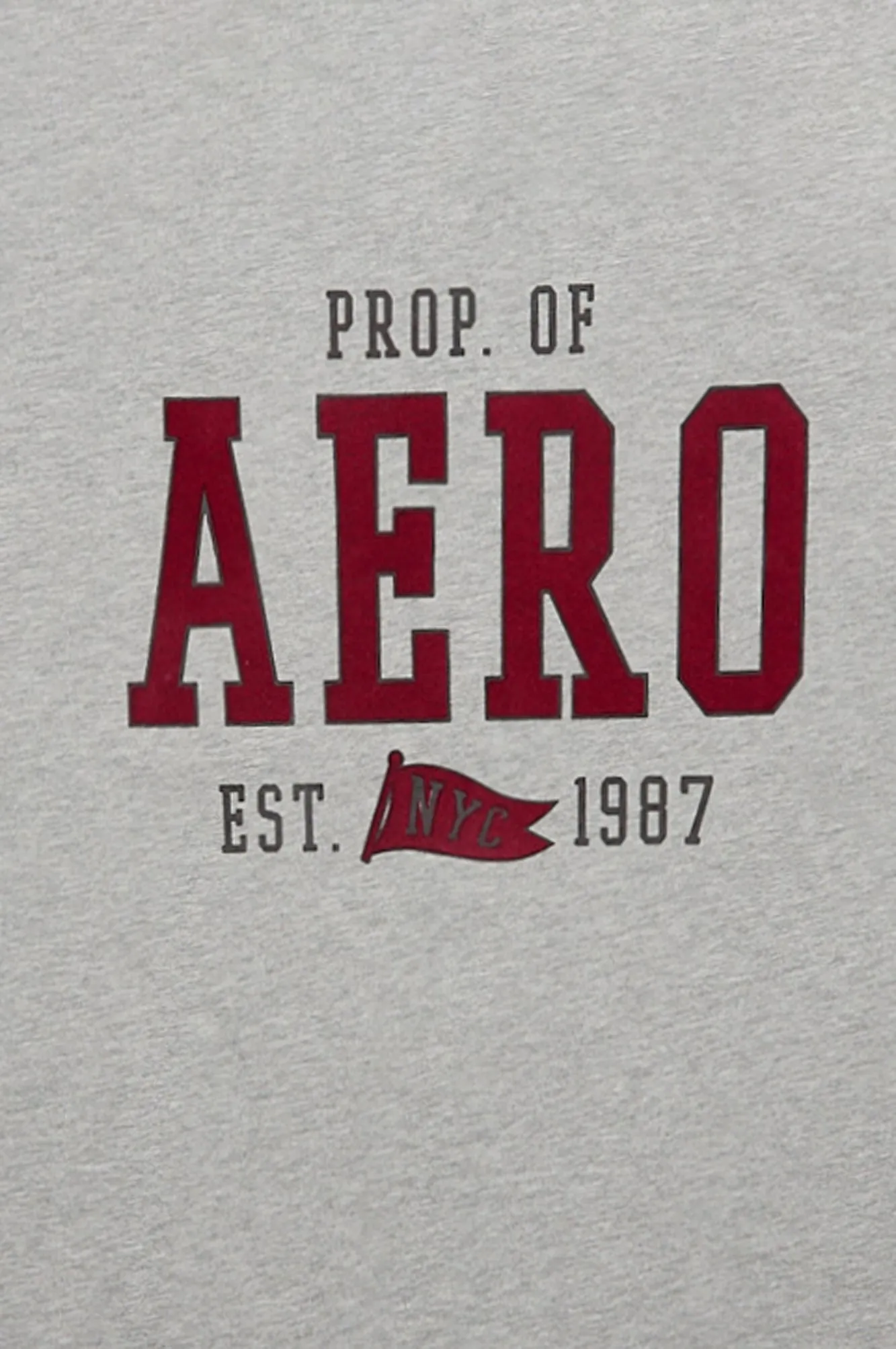 Prop. Of AERO Est. 1987 NYC Graphic Tee sold by Bluenotes product image thumbnail 2