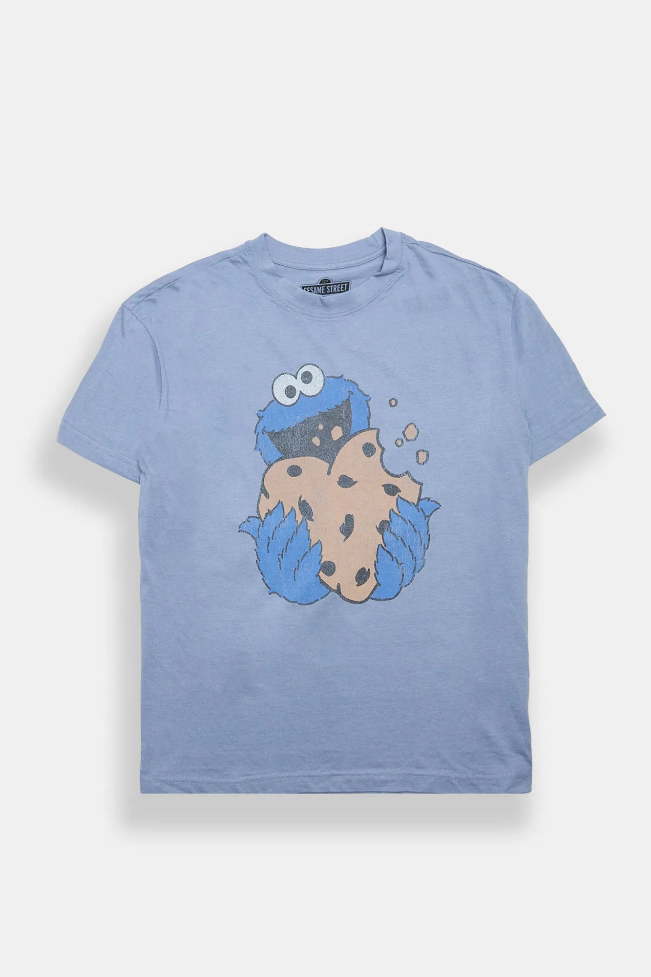 Cookie Monster Graphic Vintage Distressed Relaxed Boyfriend Tee sold by Bluenotes product image thumbnail 2