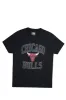 Chicago Bulls Graphic Tonal Tee sold by Bluenotes