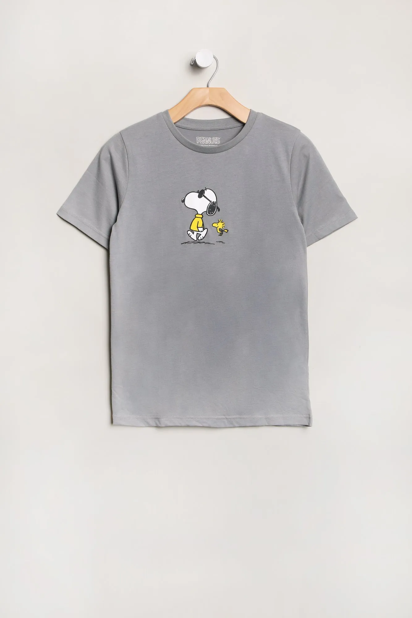 Boys' Peanuts Snoopy And Woodstock Graphic Classic Tee sold by Bluenotes