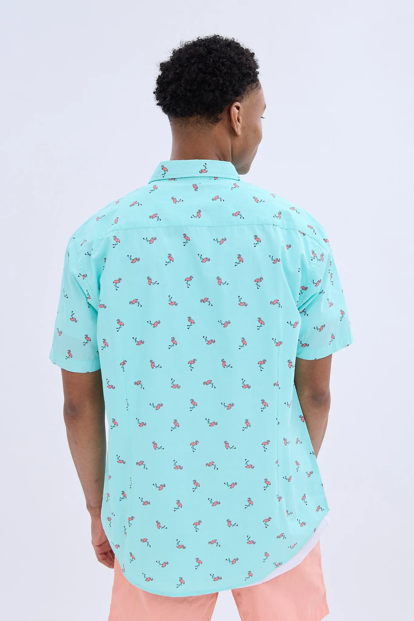 Flamingos Printed Short Sleeve Poplin Shirt sold by Bluenotes product image thumbnail 3