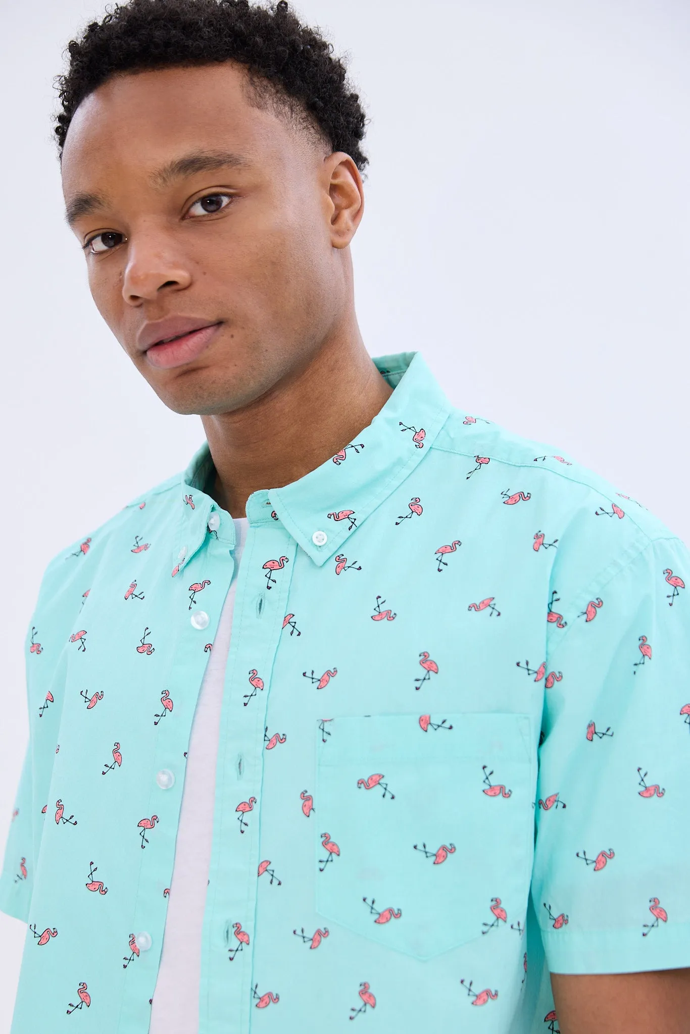Flamingos Printed Short Sleeve Poplin Shirt sold by Bluenotes product image thumbnail 2